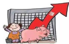 如何经营家庭猪肉生意实现盈利？