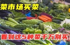 在康定卖菜真的能赚钱吗？拉菜进城的利润如何？