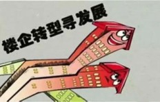 托尼除了主业外，还涉足哪些副业领域？