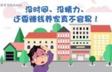 山东秋款童装代理能否盈利？如何判断其赚钱潜力？