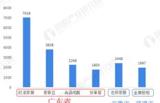 武汉巴太企业究竟是何方神圣？其主营业务是什么？