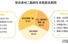 二胎家庭如何把握商机实现财富增长？