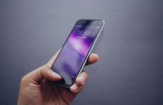 在闲鱼上销售哪种苹果产品最能盈利？