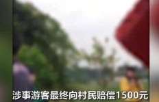 直播挖竹笋真的能赚钱却不能花？背后有何隐情？