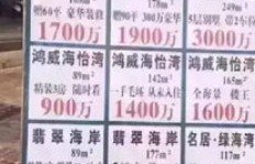 种豆茅真的能赚钱吗？揭开其盈利真相