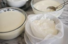 如何自制美味酸奶牛奶茶？秘诀都在这里！