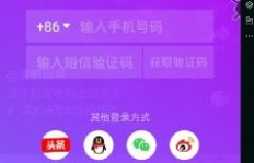 苹果打码赚钱软件免费下载靠谱吗？如何快速上手？
