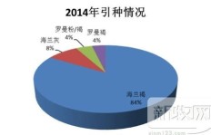 在村里开设鸡蛋厂能否实现盈利？可行性分析探讨