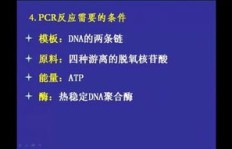 高中生如何利用微课实现经济独立？