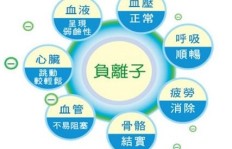 疫情期间宅家上网，哪些玩法能轻松变现？