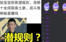 宝哥带你开启副业之旅，成功秘诀究竟是什么？