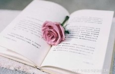 如何从零开始撰写副业小说，新手也能轻松上手？