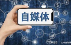 掌上宝如何实现盈利？详解其赚钱之道视频解析
