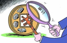 审计人员如何选择合适的副业？有哪些推荐方向？
