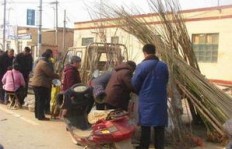 在农村，哪些行业被认为是赚钱最难的挑战？