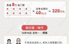 故宫售票背后有何经济考量？门票收入用途何在？