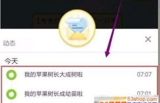 如何在一天内高效完成拼多多助力任务？