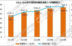 如何通过运营垃圾发电站实现盈利？