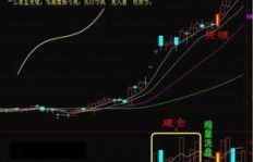 牛市中哪些股票最具盈利潜力？如何捕捉高收益机会？