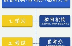如何申请成为兼职车模？报名流程详解