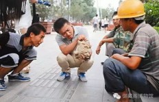 街头卖艺与古董交易，真的能赚大钱吗？