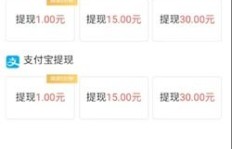 蕃茄小说能否实现真实盈利？用户赚钱经历大公开