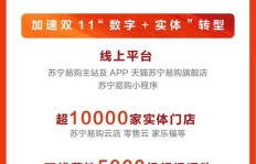 苏宁易购乡镇代理真的能赚钱吗？具体收益如何？