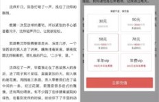 写小说时如何挑选最佳平台实现盈利？