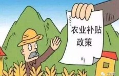 夏天适合尝试哪些农谚推荐的副业项目？
