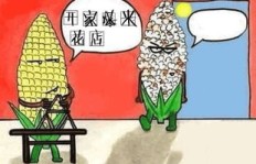 未来开店创业真的能零元赚钱吗？
