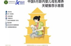 院子里的养殖副业，你真的了解它的潜力和挑战吗？
