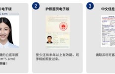 如何高效提升副业收入？一步步教你成功秘诀