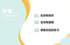 有哪些值得推荐的副业PPT模板？如何选择适合自己的？