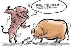 老公为何总对外宣称自己赚钱了？背后有何隐情？