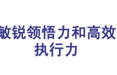 哪个项目能成为赚钱的最佳选择？
