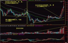 你是否在寻找最稳定且高收益的选股秘诀？