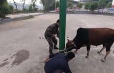 现在在安徽宣城搞养殖，真的能赚钱吗？前景如何？