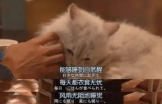 为何那些能赚钱的高手总是对我视而不见？