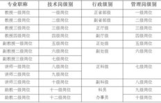 学校安排实习幼师，能否实现经济收益？