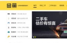 闲鱼卖家如何在淘宝平台上实现盈利之道？