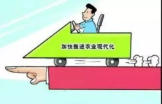 新型农场副业究竟是什么？如何助力农民增收？