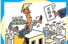 农村收藏哪些物品最具赚钱潜力？