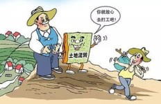 农民小工作室能否实现稳定盈利？