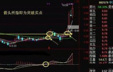红檀木投资真的能赚钱吗？市场前景如何分析？