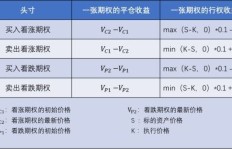 哪款期权合约软件能最快实现盈利？
