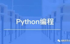 当今时代，选择学习哪门技能最具赚钱潜力？