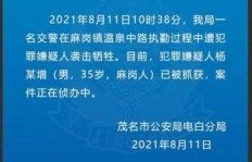 警察在执行公务之余，还涉足哪些副业领域？