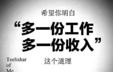 想兼职遛狗师？这份副业真的适合你吗？