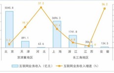 暴雪聊天室盈利模式是什么？如何实现收益增长？