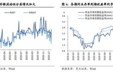 在这6款同业存单中，哪一款的投资回报率最高？